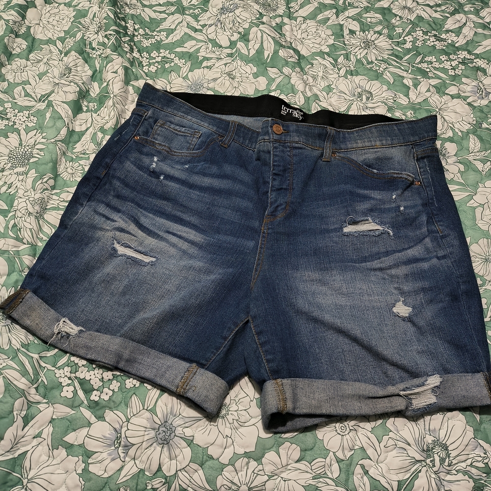 Terra & Sky Blue Jean Shorts Distressed Casual
